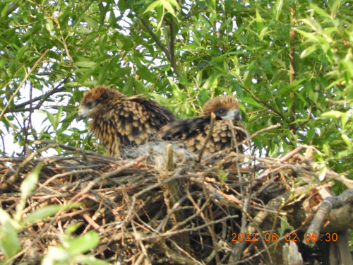 DSCN9410.JPG