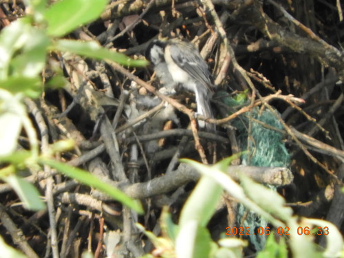 DSCN9416.JPG
