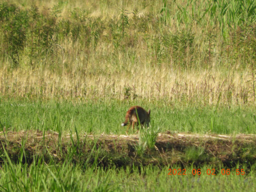 DSCN9434.JPG