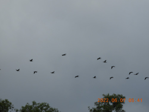 DSCN9462.JPG