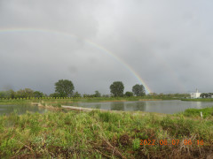 DSCN9495.JPG