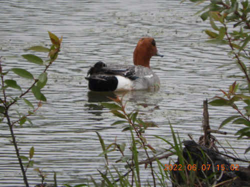 DSCN9553.JPG