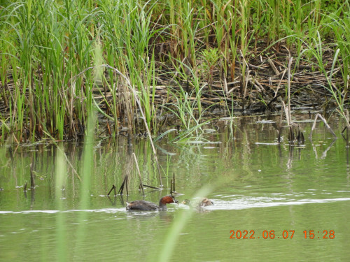 DSCN9555.JPG