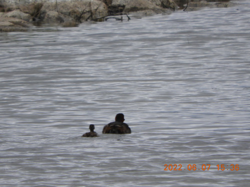 DSCN9558.JPG