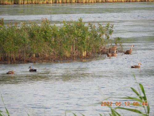 DSCN9570.JPG