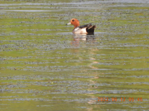 DSCN9574.JPG