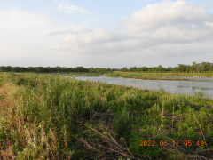 DSCN9580.JPG