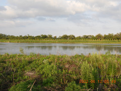 DSCN9581.JPG