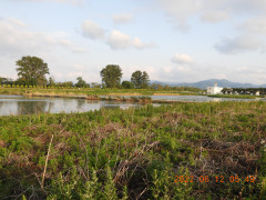 DSCN9582.JPG