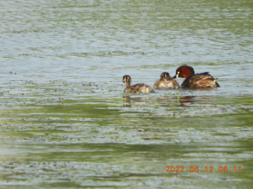 DSCN9615.JPG