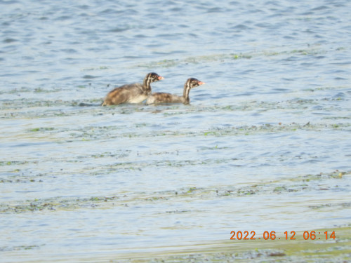 DSCN9624.JPG