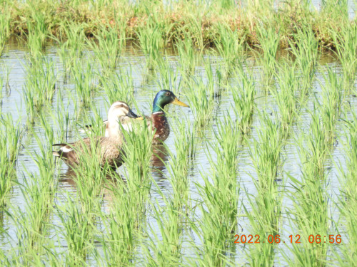 DSCN9634.JPG