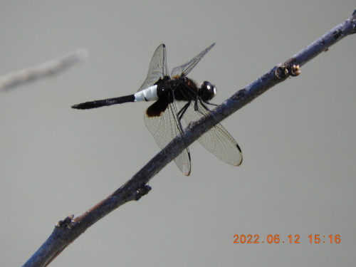 DSCN9647.JPG