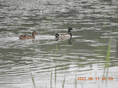 DSCN9662.JPG