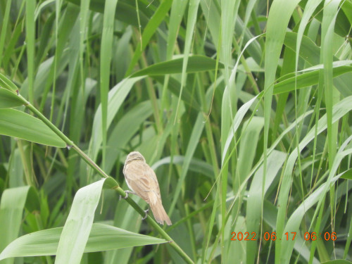DSCN9663.JPG