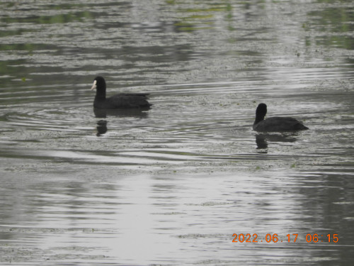 DSCN9667.JPG