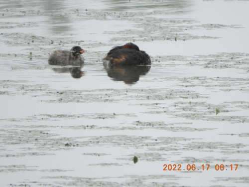 DSCN9672.JPG