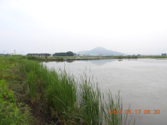 DSCN9679.JPG