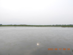 DSCN9680.JPG