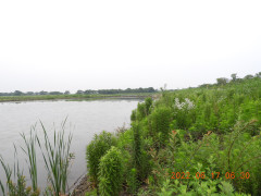 DSCN9681.JPG