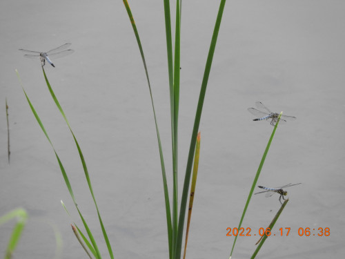 DSCN9688.JPG