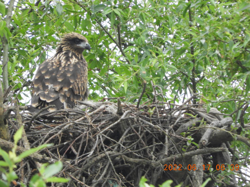 DSCN9689.JPG