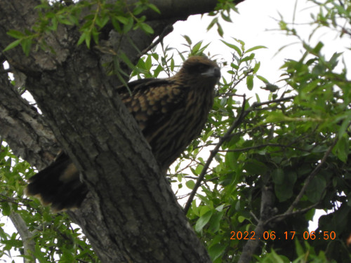 DSCN9692.JPG
