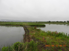 DSCN9715.JPG