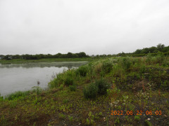 DSCN9716.JPG