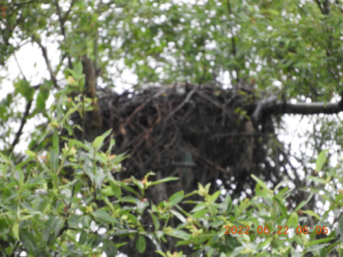 DSCN9718.JPG