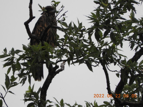 DSCN9719.JPG