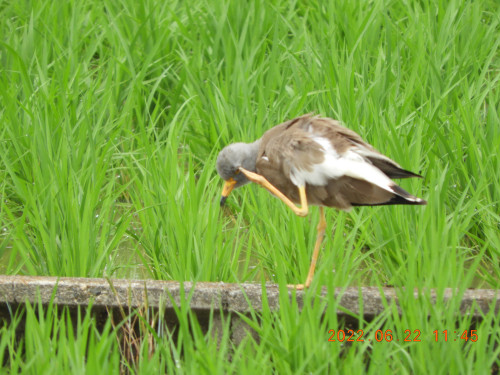 DSCN9739.JPG