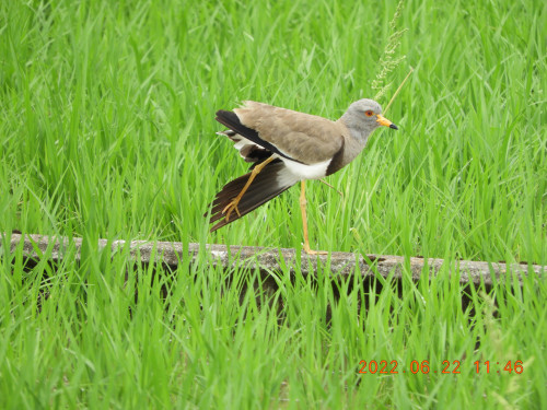 DSCN9740.JPG