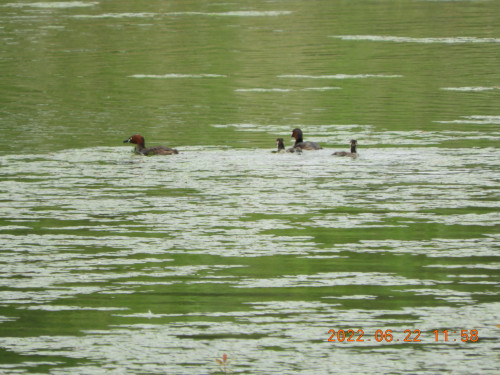 DSCN9747.JPG