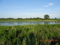 DSCN9777.JPG