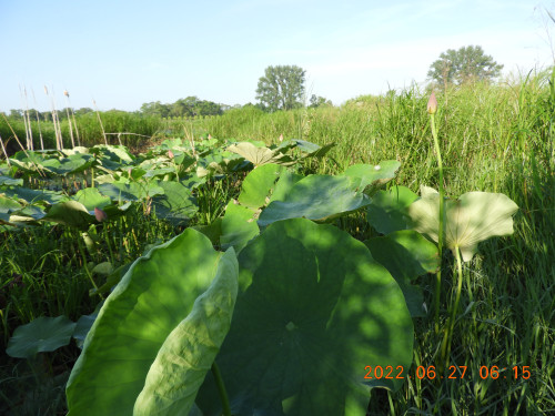 DSCN9780.JPG