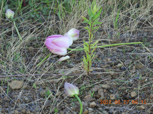 DSCN9779.JPG