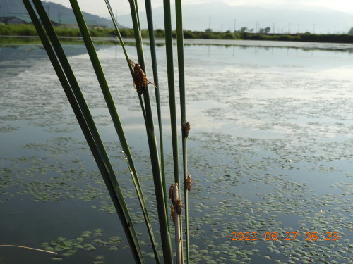 DSCN9781.JPG