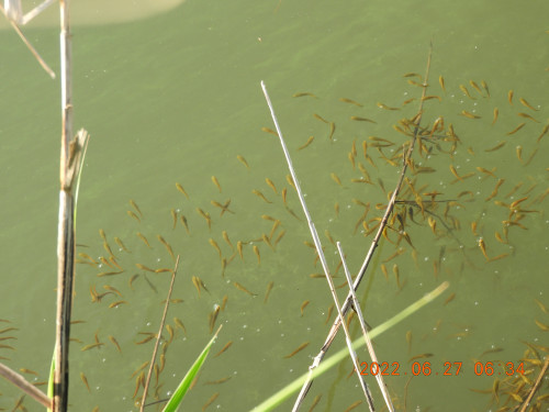 DSCN9793.JPG