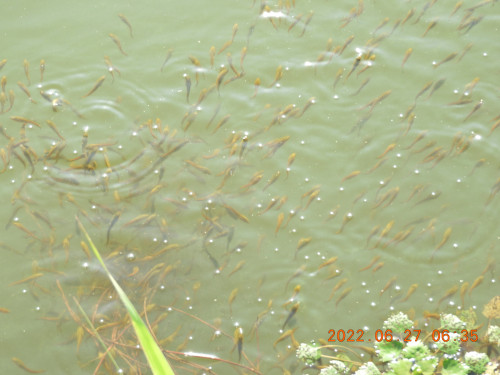 DSCN9795.JPG