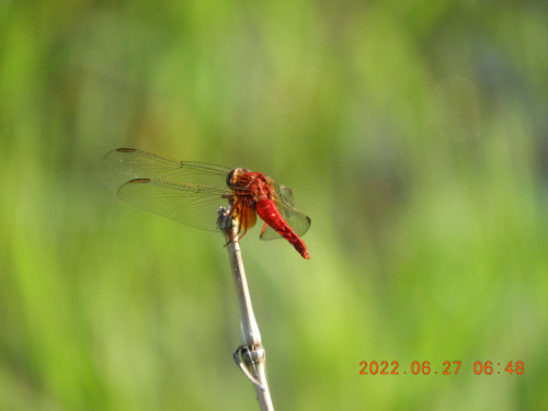 DSCN9802.JPG