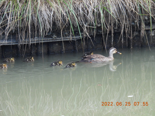 DSCN9727.JPG