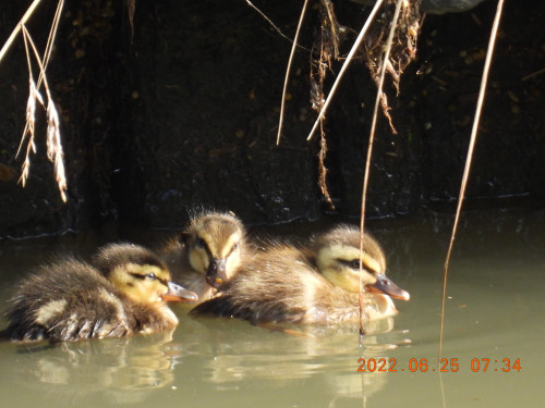 DSCN9715.JPG
