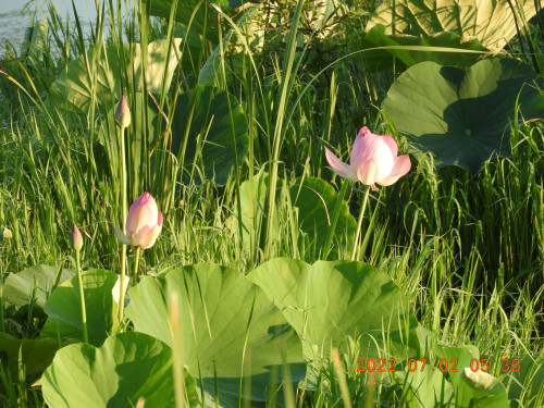 DSCN9845.JPG