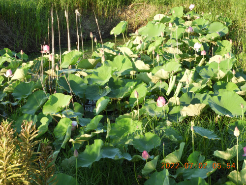 DSCN9851.JPG