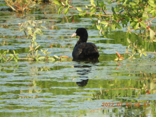 DSCN9849.JPG