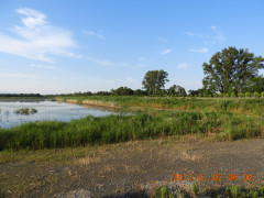 DSCN9853.JPG