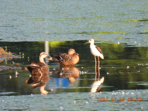 DSCN9895.JPG