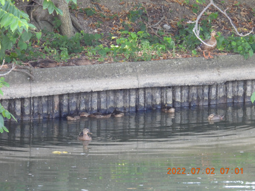 DSCN9913.JPG