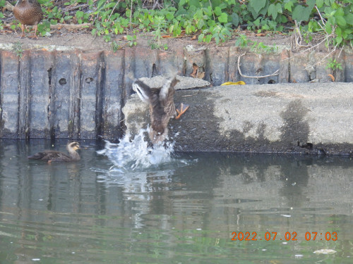 DSCN9914.JPG